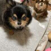 ヒメ日記 2025/04/01 11:52 投稿 真央（人妻） Yシャツと私