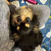 ヒメ日記 2025/04/02 11:37 投稿 真央（人妻） Yシャツと私