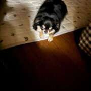 ヒメ日記 2025/04/03 11:38 投稿 真央（人妻） Yシャツと私