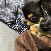 ヒメ日記 2025/04/06 11:30 投稿 真央（人妻） Yシャツと私