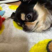 ヒメ日記 2025/04/13 11:49 投稿 真央（人妻） Yシャツと私