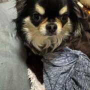 ヒメ日記 2025/04/15 11:34 投稿 真央（人妻） Yシャツと私