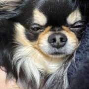 ヒメ日記 2025/04/17 11:38 投稿 真央（人妻） Yシャツと私