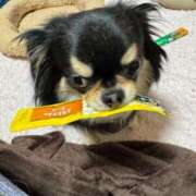 ヒメ日記 2025/04/27 11:44 投稿 真央（人妻） Yシャツと私