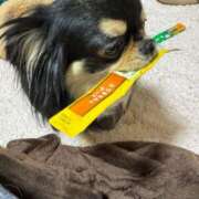 ヒメ日記 2025/05/01 11:38 投稿 真央（人妻） Yシャツと私