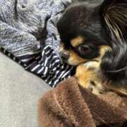 ヒメ日記 2025/05/02 14:30 投稿 真央（人妻） Yシャツと私