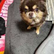 ヒメ日記 2025/05/03 11:47 投稿 真央（人妻） Yシャツと私