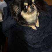 ヒメ日記 2025/05/05 11:48 投稿 真央（人妻） Yシャツと私