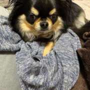 ヒメ日記 2025/05/06 11:37 投稿 真央（人妻） Yシャツと私