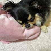 ヒメ日記 2025/05/07 11:38 投稿 真央（人妻） Yシャツと私