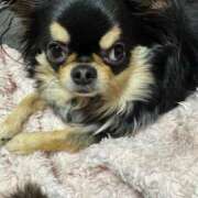 ヒメ日記 2025/05/08 11:37 投稿 真央（人妻） Yシャツと私