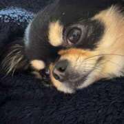 ヒメ日記 2025/05/14 11:22 投稿 真央（人妻） Yシャツと私