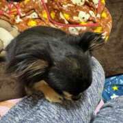 ヒメ日記 2025/05/20 11:50 投稿 真央（人妻） Yシャツと私