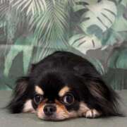 ヒメ日記 2025/05/21 11:57 投稿 真央（人妻） Yシャツと私