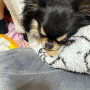 ヒメ日記 2025/05/22 11:59 投稿 真央（人妻） Yシャツと私