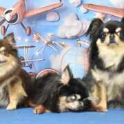 ヒメ日記 2025/05/24 11:37 投稿 真央（人妻） Yシャツと私