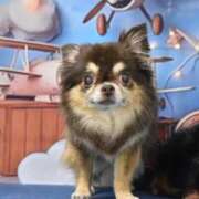 ヒメ日記 2025/05/25 11:46 投稿 真央（人妻） Yシャツと私