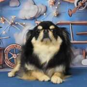 ヒメ日記 2025/05/26 11:37 投稿 真央（人妻） Yシャツと私