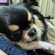 ヒメ日記 2025/05/27 12:19 投稿 真央（人妻） Yシャツと私