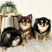 ヒメ日記 2025/05/28 12:37 投稿 真央（人妻） Yシャツと私