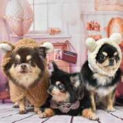 ヒメ日記 2025/05/31 11:19 投稿 真央（人妻） Yシャツと私