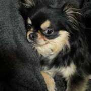 ヒメ日記 2025/06/01 11:55 投稿 真央（人妻） Yシャツと私