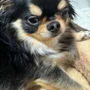 ヒメ日記 2025/06/04 11:40 投稿 真央（人妻） Yシャツと私