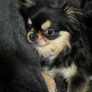 ヒメ日記 2025/06/05 12:22 投稿 真央（人妻） Yシャツと私