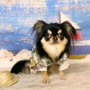 ヒメ日記 2025/06/07 11:32 投稿 真央（人妻） Yシャツと私