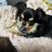 ヒメ日記 2025/06/08 11:53 投稿 真央（人妻） Yシャツと私