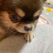 ヒメ日記 2025/06/10 11:32 投稿 真央（人妻） Yシャツと私