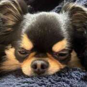 ヒメ日記 2025/06/15 11:29 投稿 真央（人妻） Yシャツと私