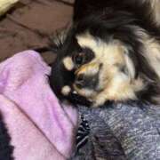 ヒメ日記 2025/06/18 11:29 投稿 真央（人妻） Yシャツと私