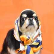 ヒメ日記 2025/06/21 11:37 投稿 真央（人妻） Yシャツと私