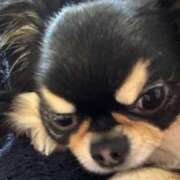 ヒメ日記 2025/06/24 14:37 投稿 真央（人妻） Yシャツと私