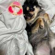 ヒメ日記 2025/06/25 11:55 投稿 真央（人妻） Yシャツと私