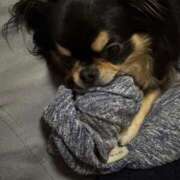 ヒメ日記 2025/06/26 11:43 投稿 真央（人妻） Yシャツと私