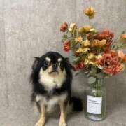 ヒメ日記 2025/06/28 12:08 投稿 真央（人妻） Yシャツと私