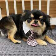 ヒメ日記 2025/06/30 12:47 投稿 真央（人妻） Yシャツと私