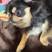 ヒメ日記 2025/07/03 11:39 投稿 真央（人妻） Yシャツと私