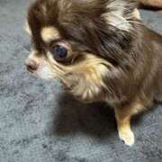 ヒメ日記 2025/07/04 12:45 投稿 真央（人妻） Yシャツと私