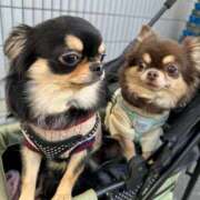 ヒメ日記 2025/07/05 11:37 投稿 真央（人妻） Yシャツと私