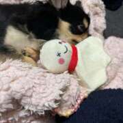 ヒメ日記 2025/07/08 11:42 投稿 真央（人妻） Yシャツと私