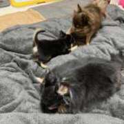 ヒメ日記 2025/07/09 15:04 投稿 真央（人妻） Yシャツと私