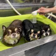 ヒメ日記 2025/07/10 13:29 投稿 真央（人妻） Yシャツと私