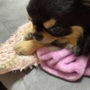 ヒメ日記 2025/07/11 14:40 投稿 真央（人妻） Yシャツと私