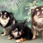 ヒメ日記 2025/07/12 11:37 投稿 真央（人妻） Yシャツと私