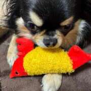 ヒメ日記 2025/07/15 11:51 投稿 真央（人妻） Yシャツと私