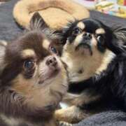 ヒメ日記 2025/07/16 11:49 投稿 真央（人妻） Yシャツと私