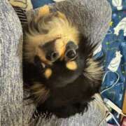 ヒメ日記 2025/07/17 11:55 投稿 真央（人妻） Yシャツと私